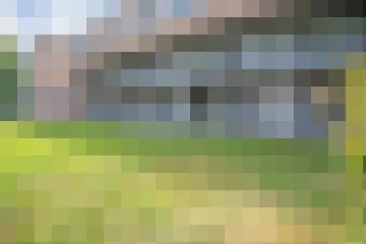 Greuns 6 Zwolle thumbnail 33