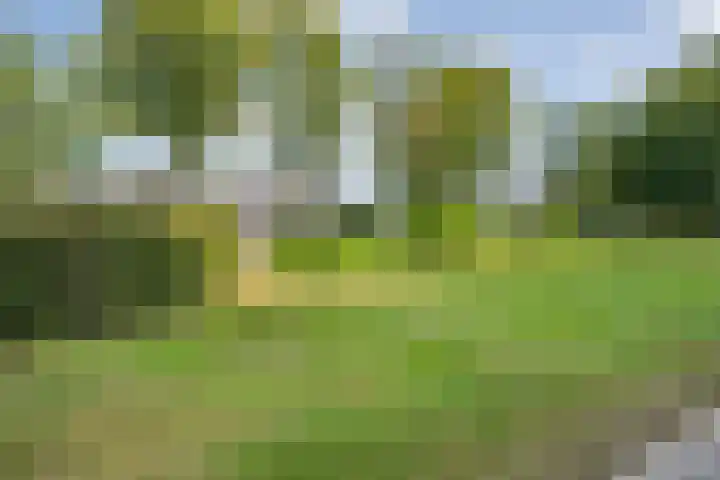 Greuns 6 Zwolle thumbnail 34