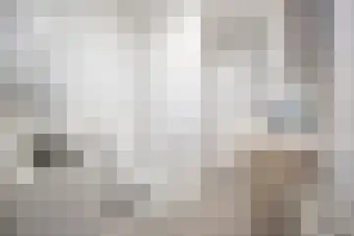Greuns 6 Zwolle thumbnail 5