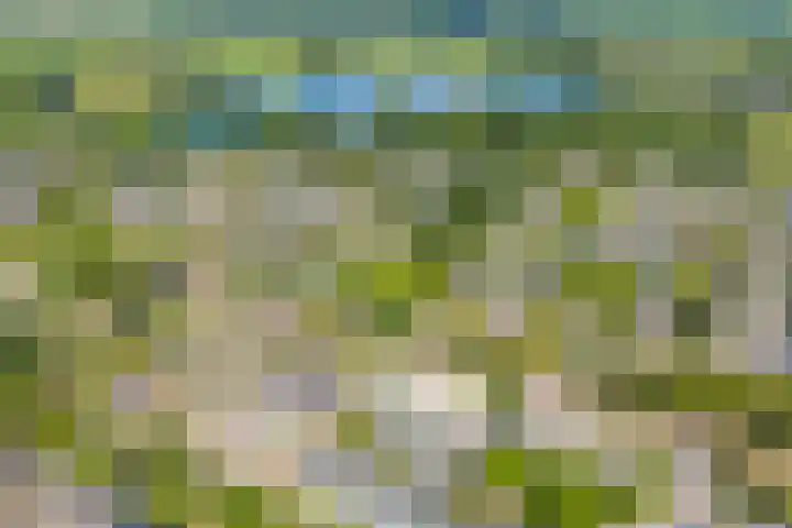 Greuns 6 Zwolle thumbnail 9