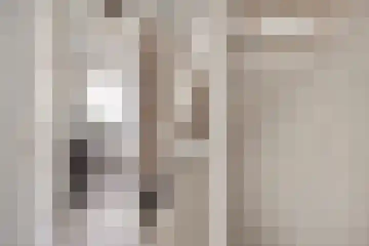 Greupe 16 Kloosterhaar thumbnail 13
