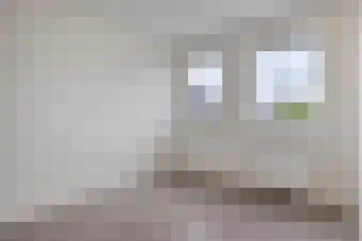 Greupe 16 Kloosterhaar thumbnail 19