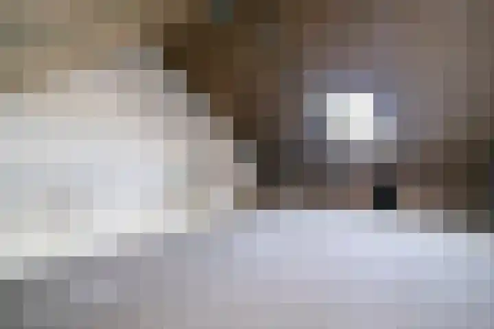 Greupe 16 Kloosterhaar thumbnail 20