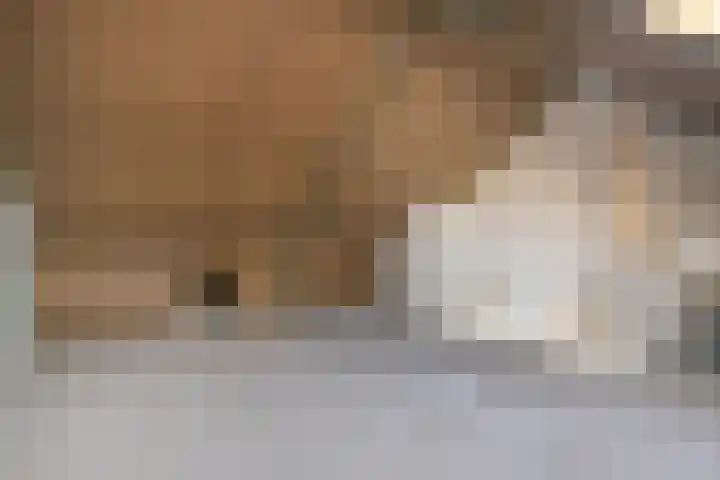Greupe 16 Kloosterhaar thumbnail 21