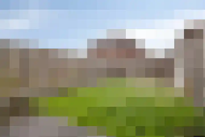 Greupe 16 Kloosterhaar thumbnail 24