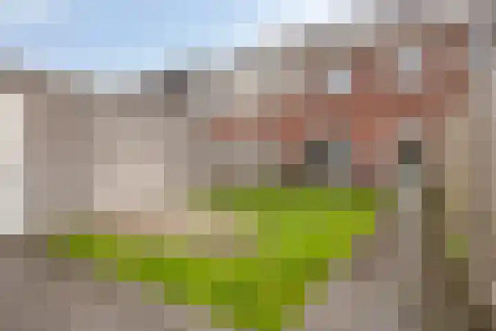 Greupe 16 Kloosterhaar thumbnail 25