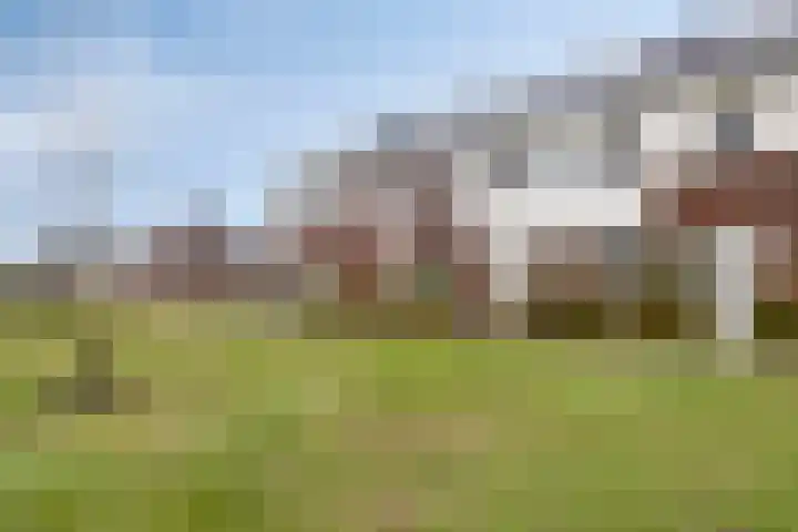 Greupe 16 Kloosterhaar thumbnail 4