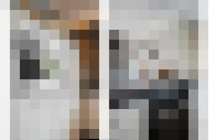 Greupe 9 Kloosterhaar thumbnail 10