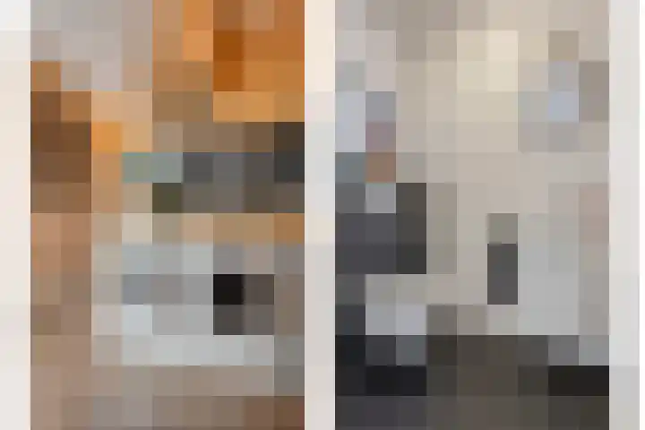 Greupe 9 Kloosterhaar thumbnail 15