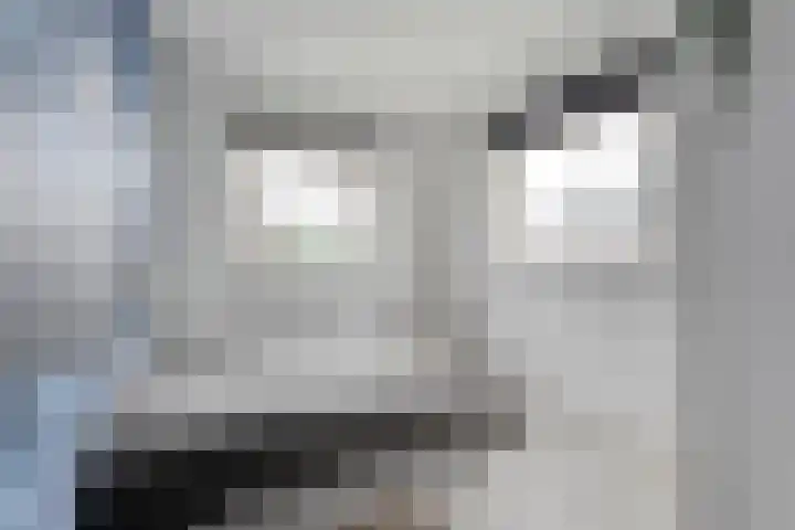 Greupe 9 Kloosterhaar thumbnail 23