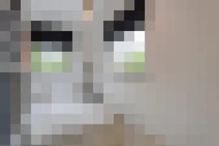 Greupe 9 Kloosterhaar thumbnail 24