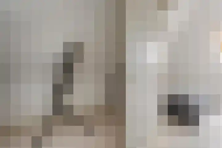 Greupe 9 Kloosterhaar thumbnail 31