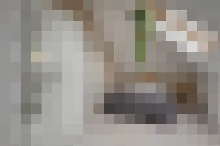 Greupe 9 Kloosterhaar thumbnail 32