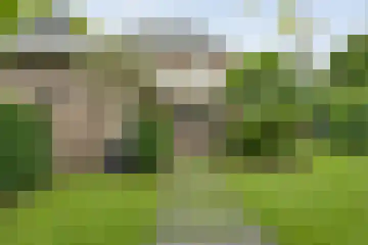 Greupe 9 Kloosterhaar thumbnail 33