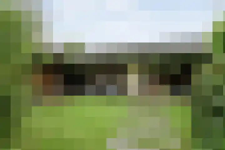 Greupe 9 Kloosterhaar thumbnail 34
