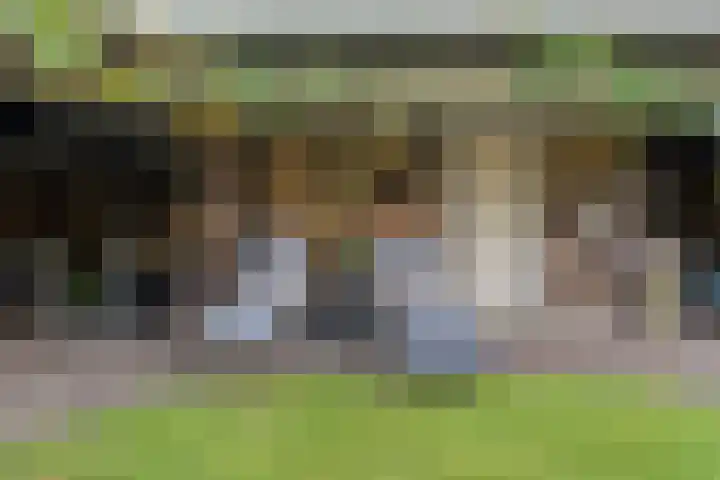 Greupe 9 Kloosterhaar thumbnail 36