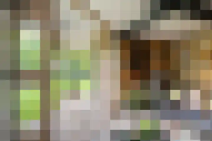 Greupe 9 Kloosterhaar thumbnail 37