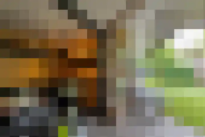 Greupe 9 Kloosterhaar thumbnail 38