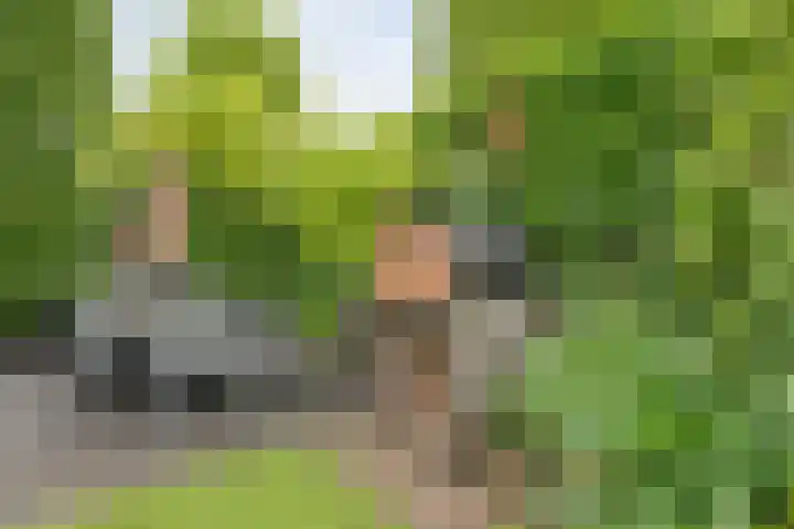 Greupe 9 Kloosterhaar thumbnail 39