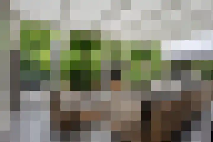Greupe 9 Kloosterhaar thumbnail 4
