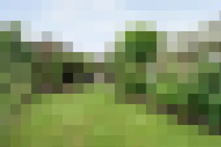 Greupe 9 Kloosterhaar thumbnail 40