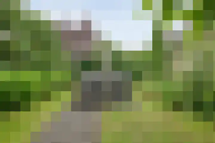 Greupe 9 Kloosterhaar thumbnail 41