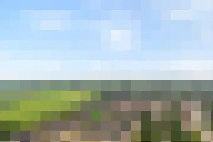 Greupe 9 Kloosterhaar thumbnail 5