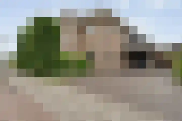 Greupe 9 Kloosterhaar thumbnail 6