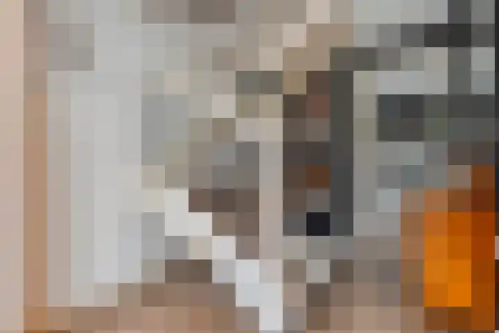 Greupe 9 Kloosterhaar thumbnail 7