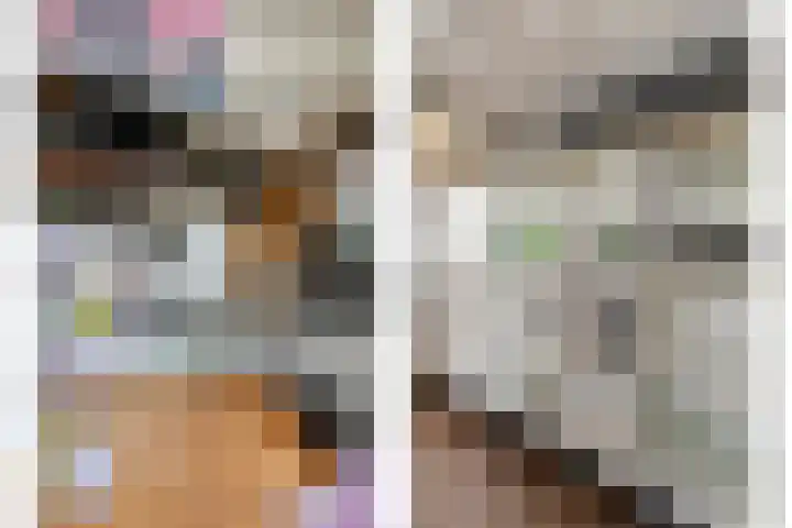 Greupe 9 Kloosterhaar thumbnail 9