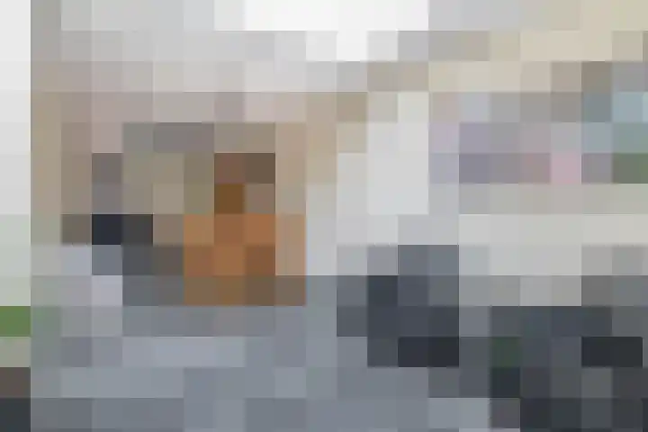 Grevekeur 12 Schijndel thumbnail 14