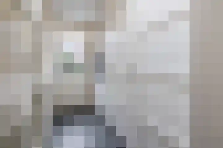 Grevekeur 12 Schijndel thumbnail 15