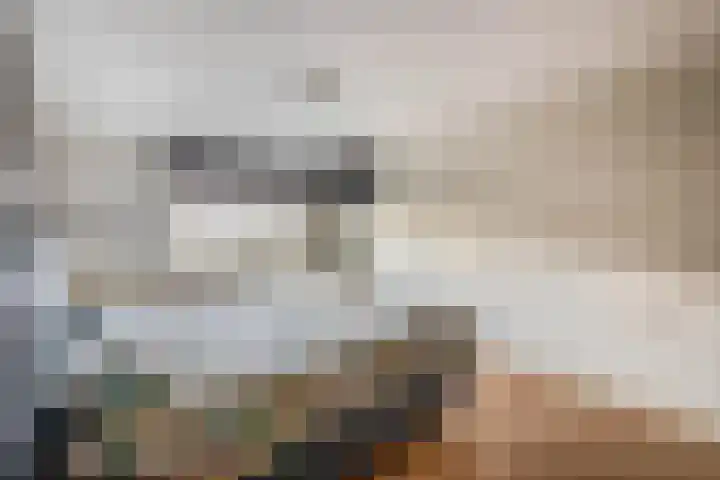 Grevekeur 12 Schijndel thumbnail 18