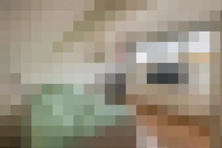 Grevekeur 12 Schijndel thumbnail 27