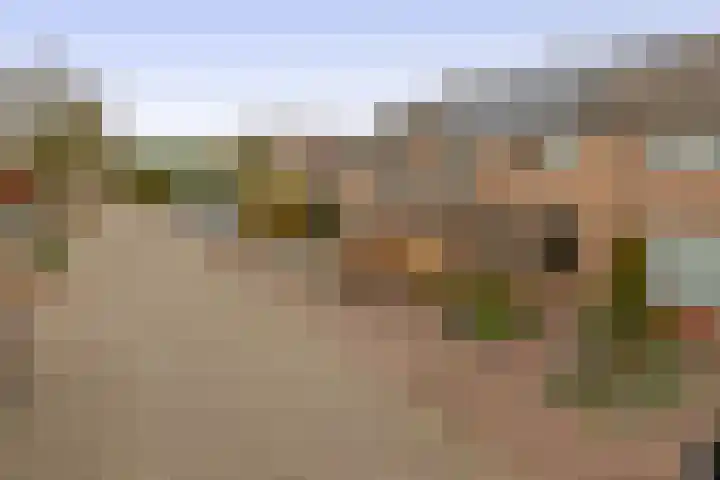 Grevekeur 12 Schijndel thumbnail 32