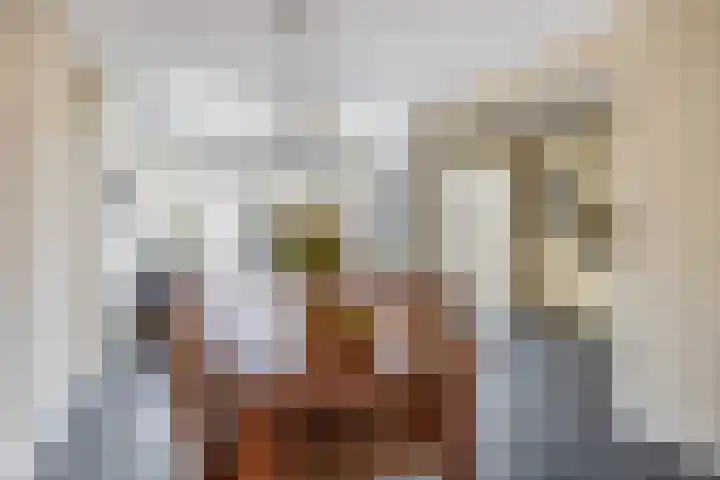 Grevekeur 12 Schijndel thumbnail 8