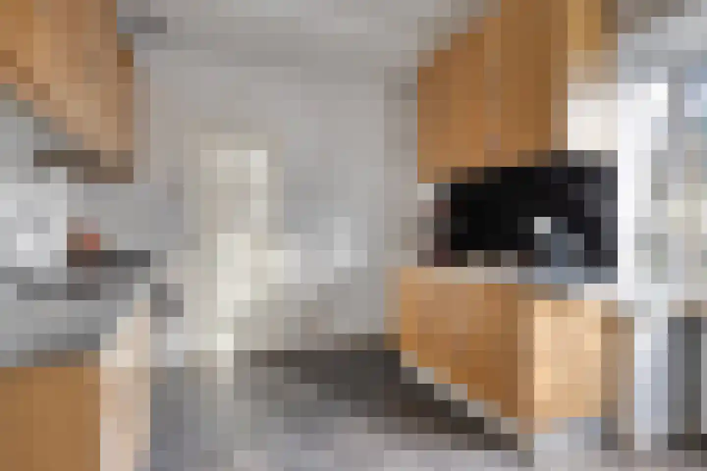 Greveling 13 Annerveenschekanaal thumbnail 15