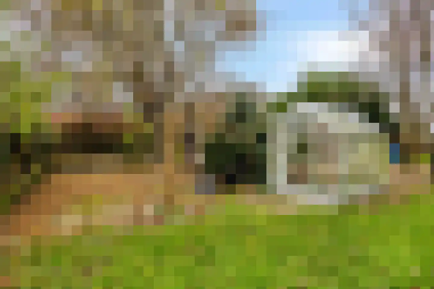 Greveling 13 Annerveenschekanaal thumbnail 38