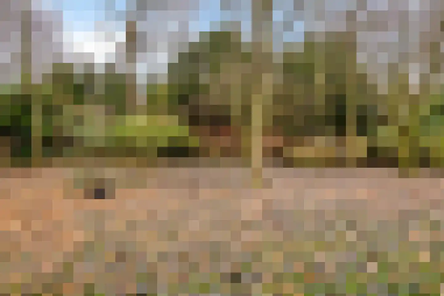 Greveling 13 Annerveenschekanaal thumbnail 40