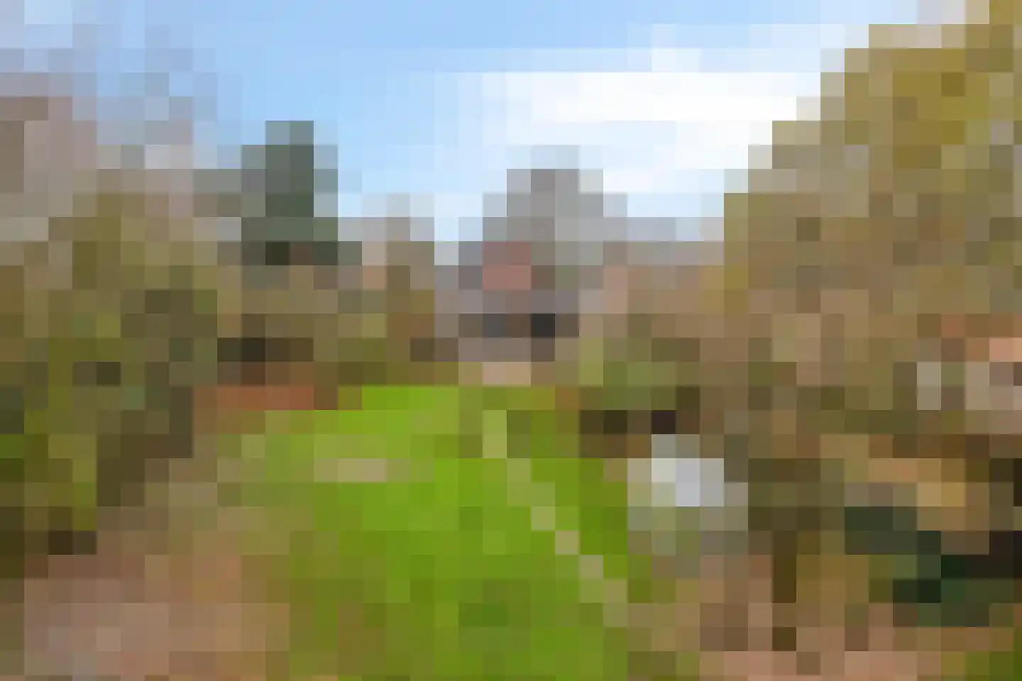 Greveling 13 Annerveenschekanaal thumbnail 41