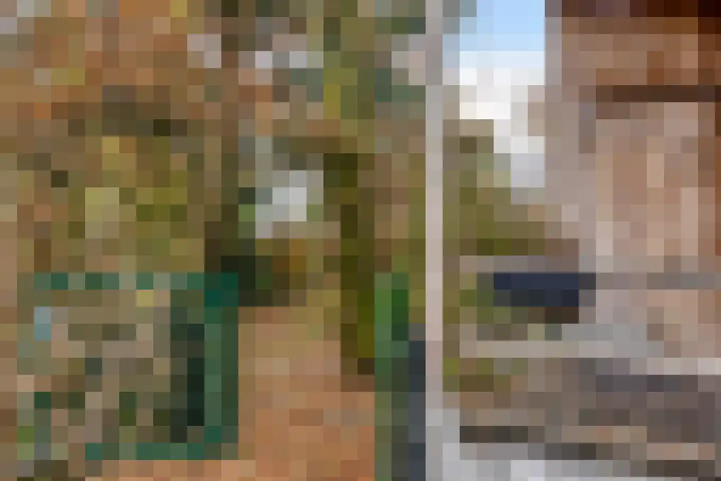 Greveling 13 Annerveenschekanaal thumbnail 42