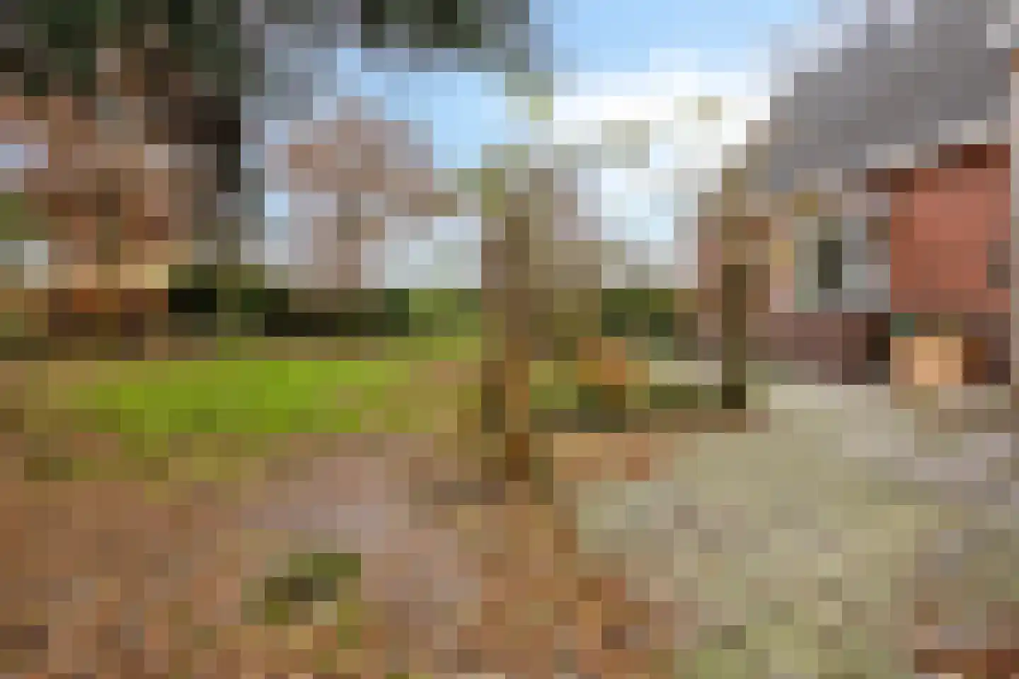 Greveling 13 Annerveenschekanaal thumbnail 43