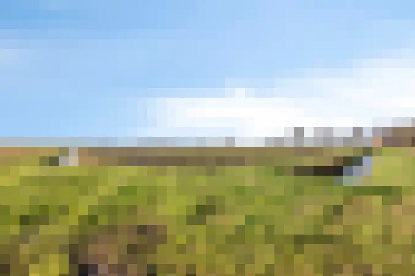 Greveling 13 Annerveenschekanaal thumbnail 45