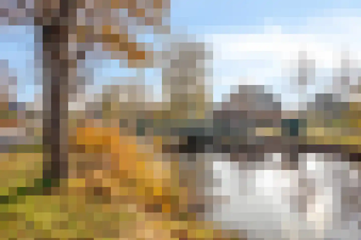 Greveling 13 Annerveenschekanaal thumbnail 50