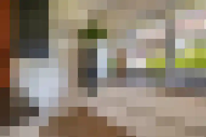 Greveling 5 Annerveenschekanaal thumbnail 11