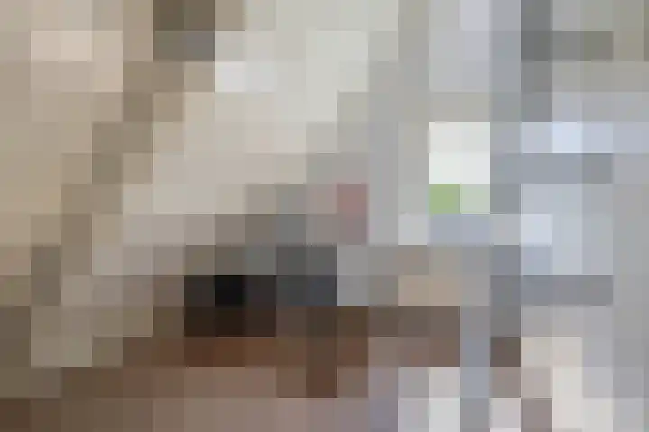 Greveling 5 Annerveenschekanaal thumbnail 21