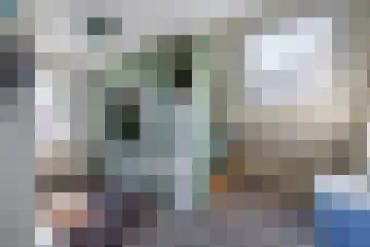 Greveling 5 Annerveenschekanaal thumbnail 23