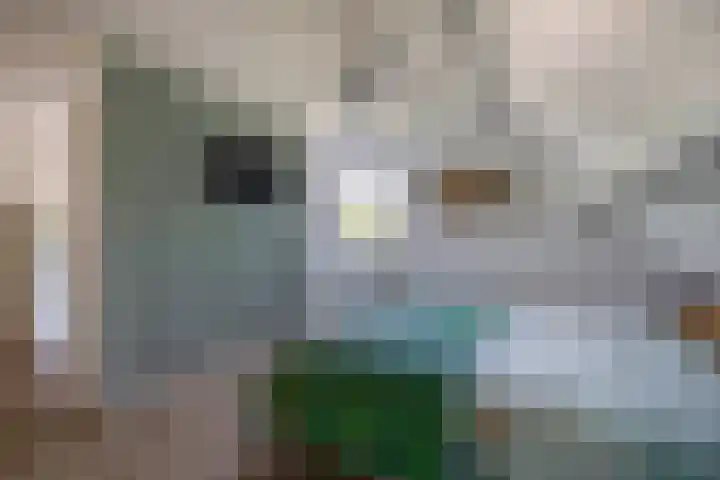 Greveling 5 Annerveenschekanaal thumbnail 25