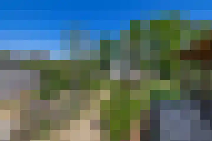 Greveling 5 Annerveenschekanaal thumbnail 33