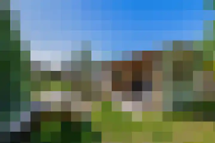 Greveling 5 Annerveenschekanaal thumbnail 38